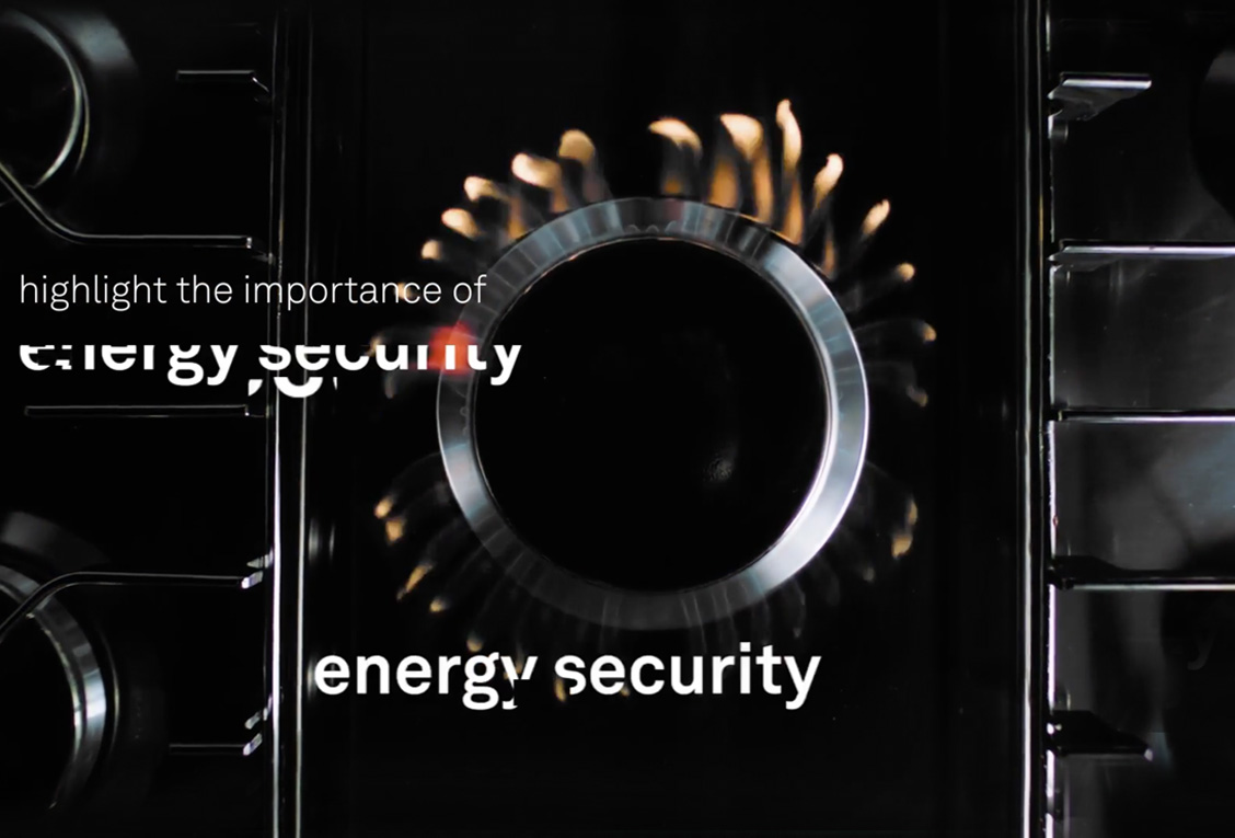 Energy Security