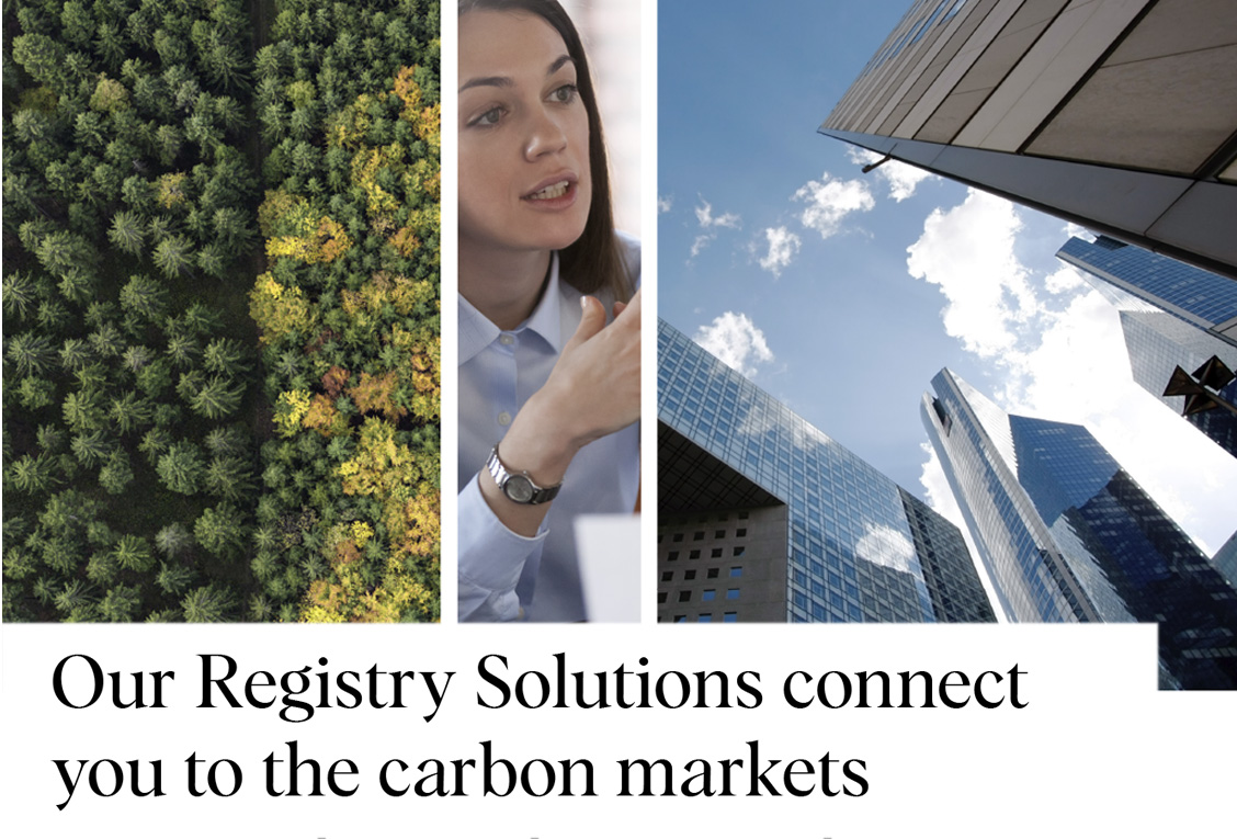 Registry Solutions